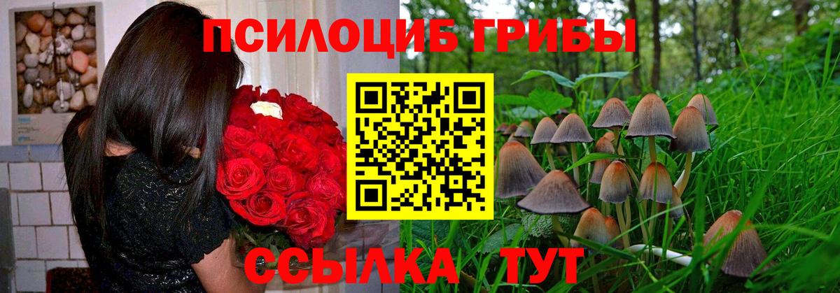 Псилоцибиновые грибы Psilocybe  Вход с VPN  Можайск 