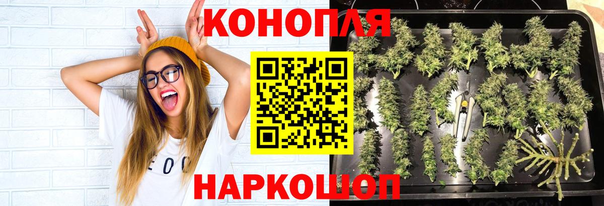 Бошки марихуана Bruce Banner Можайск